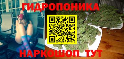 Альфа ПВП Дубна