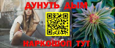 Альфа ПВП Дубна