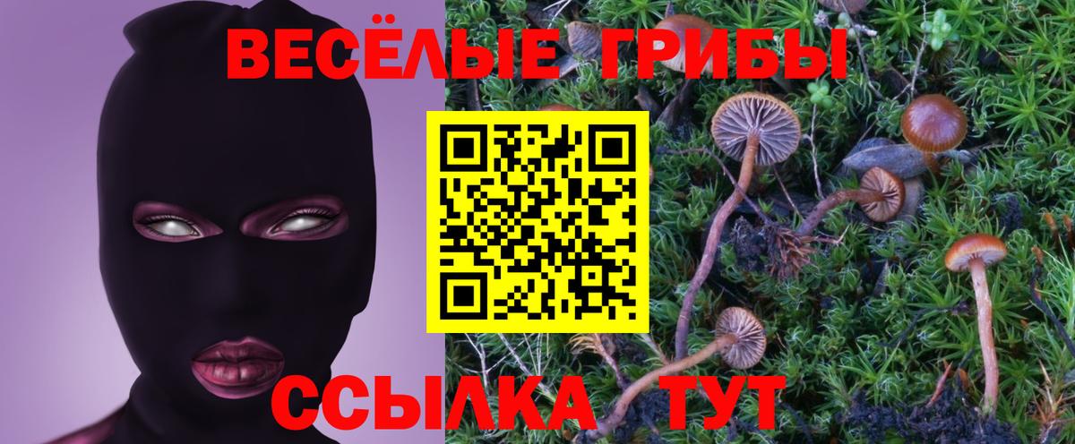 Галлюциногенные грибы Psilocybine cubensis  Вход с VPN  Крымск 